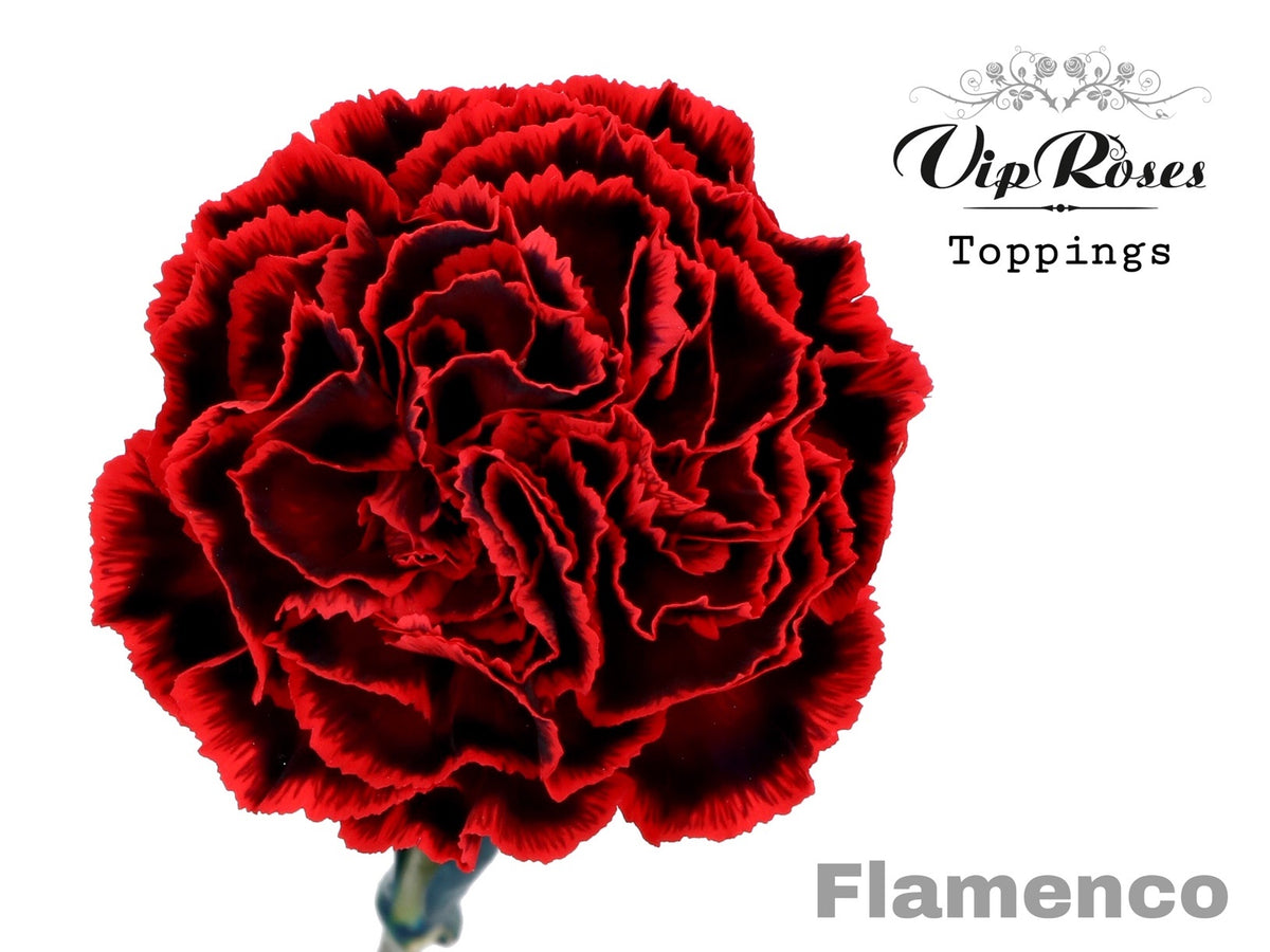 FeedSync:wholesale:4a9be457576c79f2f2ff4002e6661a7c0e6dfaac