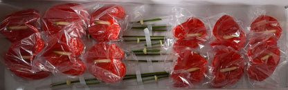 FeedSync:wholesale:1d9a8363f01ca3f04bcba7ebafb7bff15d0339dc
