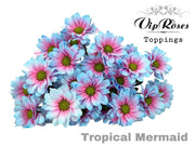 Spray Chrysanthemum - Chrysanthemum - Dekkennedy