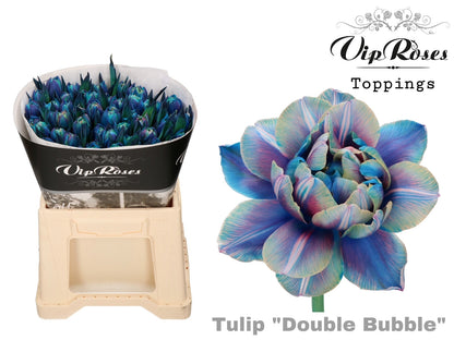 Tulip Dyed Double Bubble