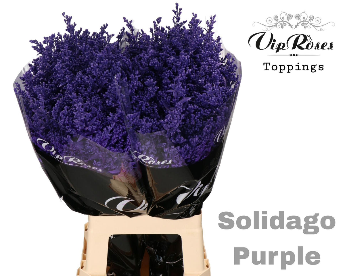 FeedSync:wholesale:89e21d137304003ad75d513caa9a6d716f4d5ef0