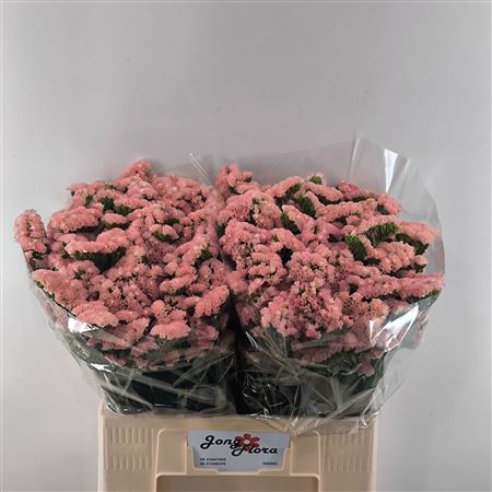FeedSync:wholesale:e2775ef8195ee40b6156266b7aa12ccb0b40b992