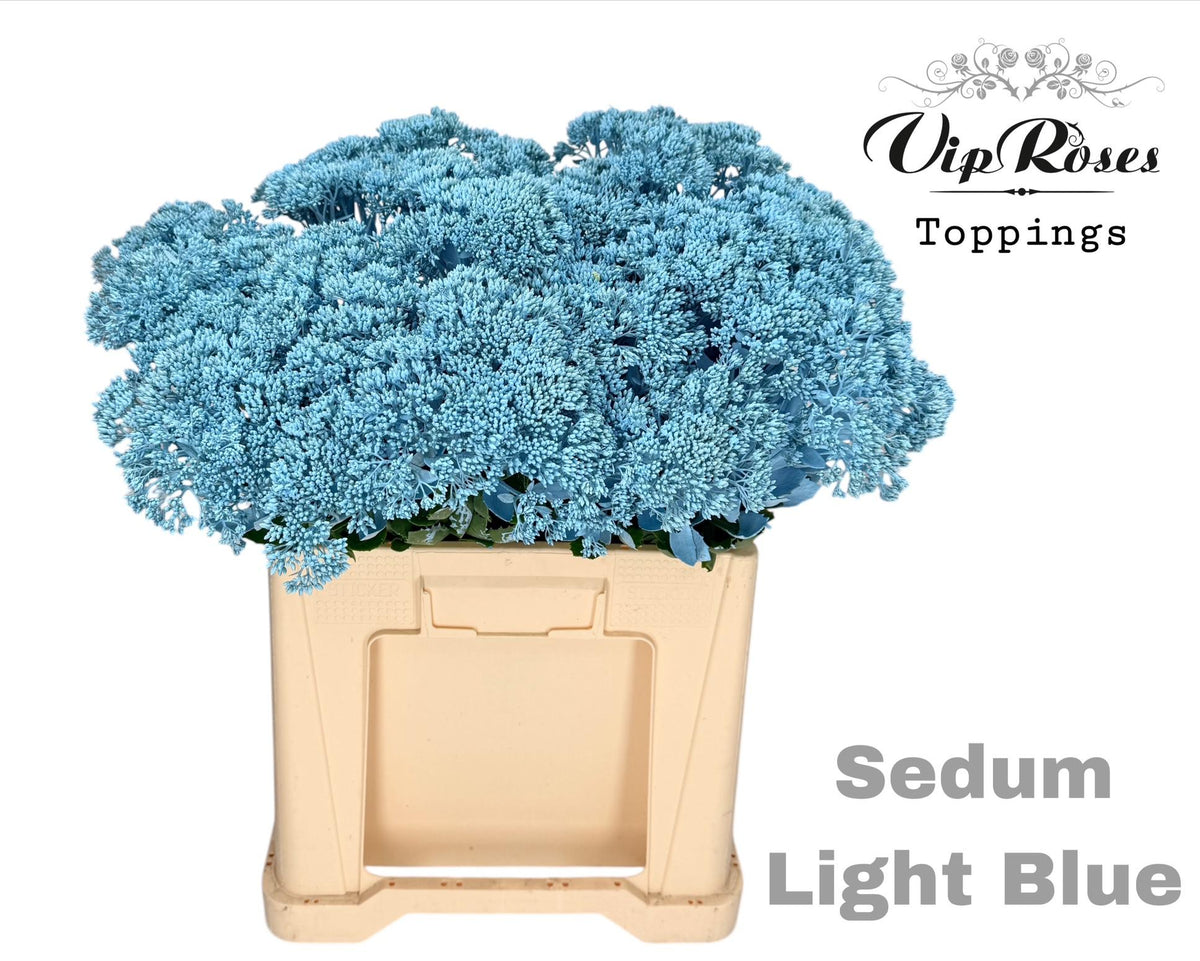 FeedSync:wholesale:222300af61a2fcec3059e6a0c248d87e2067b5e5