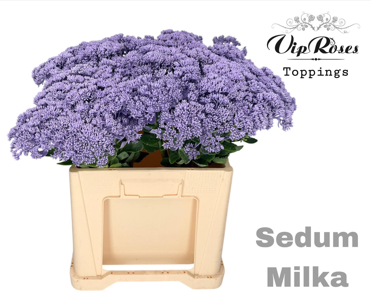 FeedSync:wholesale:79f34c484f15473e7cf71eb118d86272479932e7
