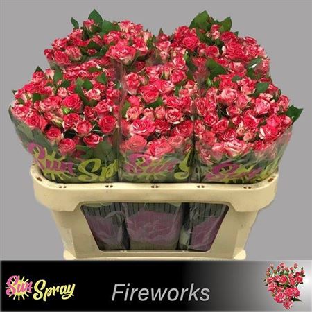 FeedSync:wholesale:7806b36c5443ea9bb947bfb414d1b7a51142fce4