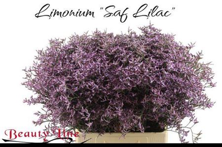 FeedSync:wholesale:d4451092364c2ec9fb6619cb67d60dae65d79418