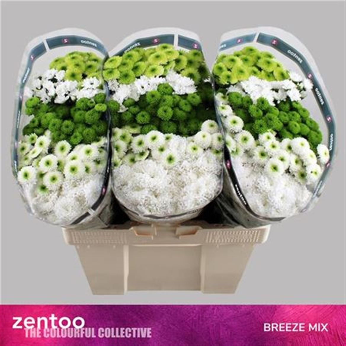 FeedSync:wholesale:84ee8fd41e6792ded25e257b57d104dc6f22f6f4
