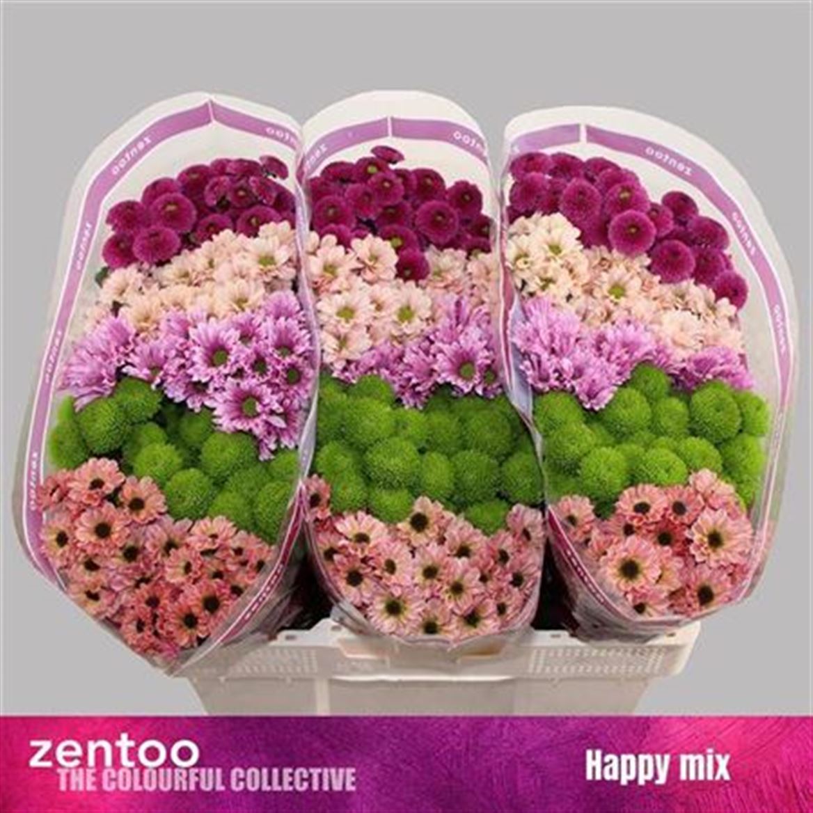 FeedSync:wholesale:d2bb51fcd205285a3a3e9e9ebac529534b8dae28