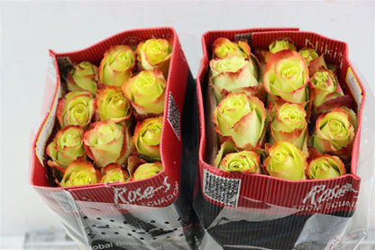 FeedSync:wholesale:2f0e6de50058414e76c0e283b09b0d97f706417c