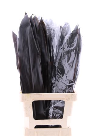 FeedSync:wholesale:7adac397b99ed9c7f5bdc25c77fbee6e247a1818