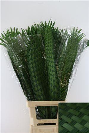FeedSync:wholesale:0b2b6e25774a14dc04abb9a6605e56f613872172