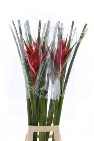 FeedSync:wholesale:01cd390a246d6d956ba14930dd8f8e041c48d571