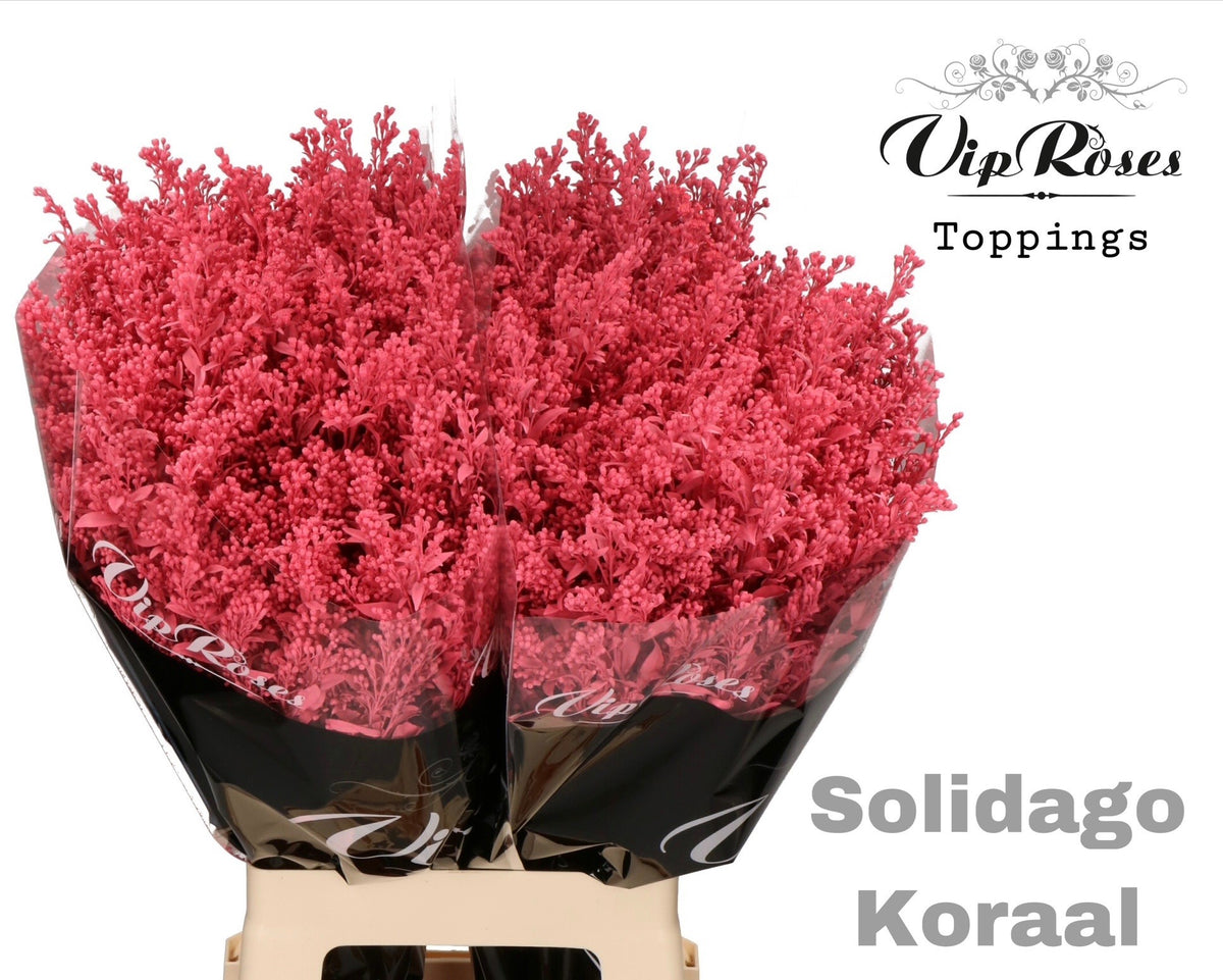 FeedSync:wholesale:eeab78d740ac4b59d1f0166284af7e66674dd78c