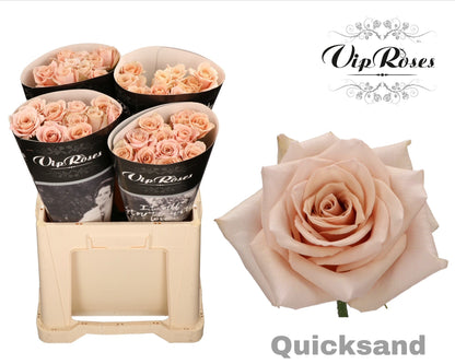 FeedSync:wholesale:8a285ff71dca16aa79997333ecadd9cf048e9bcd