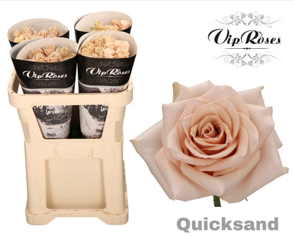 FeedSync:wholesale:6d0415b2f0bde68b93fc74558ee7dab49e25b1cf