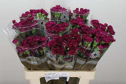 FeedSync:wholesale:777c061abbf3e3203dcde5f4bfce81a10d8a3d66