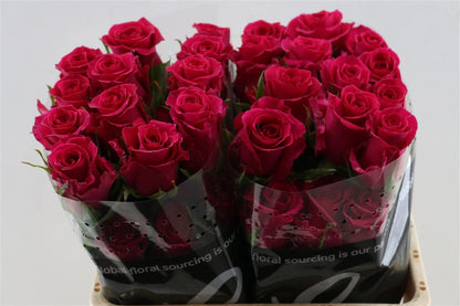FeedSync:wholesale:bdd2d605001455070b168dc3a62011ca95e9d4db