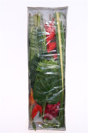 FeedSync:wholesale:c8e77e5a45328a7c899c2077f3fa809e61f7a815