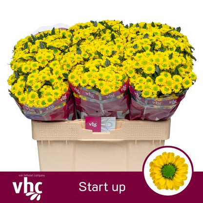 FeedSync:wholesale:f283b79ca545fff87dc63c117bf938dfb74bc761