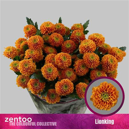 FeedSync:wholesale:db44d34efa22d3b1baf388470a648ebb9812dc04