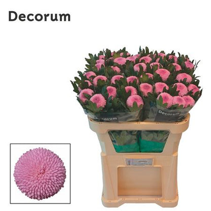 FeedSync:wholesale:4f349714bda369c21974674db116d9e2c81fb965