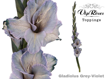 FeedSync:wholesale:35307f845fd3d143969f3bbfd6df4261c9e130f8