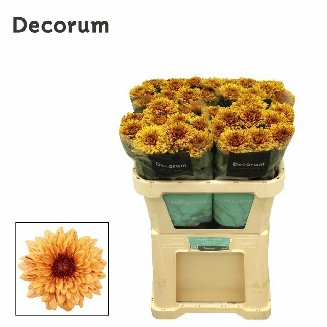 FeedSync:wholesale:d0f5355e0f33e0db9fc70488f76781ccd5d06cb7