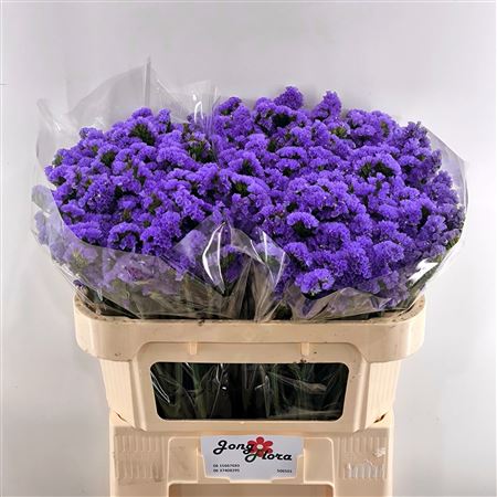 FeedSync:wholesale:fcb78f76f558ee53f86522091223b737e89c18f3