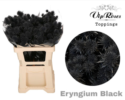 FeedSync:wholesale:77dfbb8c9bed0e80671a14cd398686ca7f587d5e