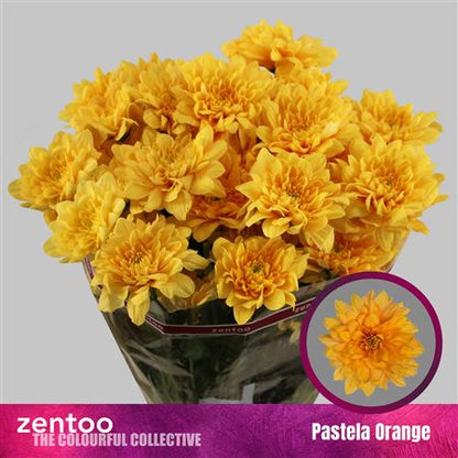 FeedSync:wholesale:ad35e04964638d7c20a182e4a934845367a4acaa