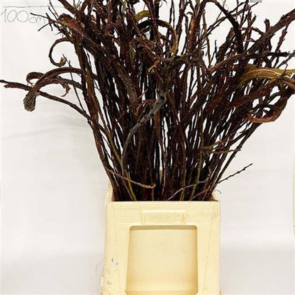 FeedSync:wholesale:f394e60ee3e94f2c062db21946a3371634962696