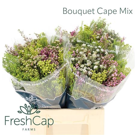 FeedSync:wholesale:fd426631153e894f954e2c6b03f36df5465a6a97