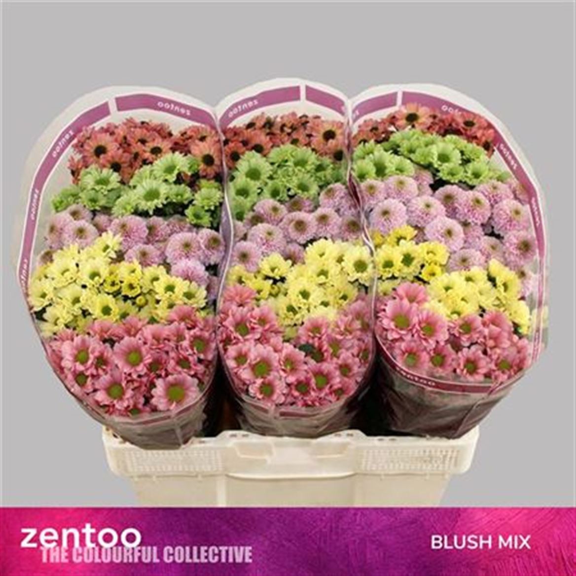 FeedSync:wholesale:8a534ed3c820bd993c1235ed42cb20ad7fd943f8