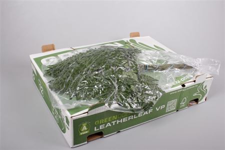 FeedSync:wholesale:83ba4815a24d86c99cc539224261f7692b03bd54