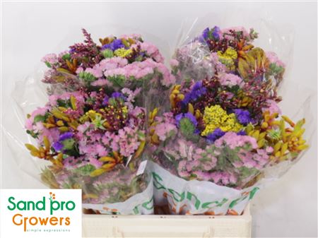 FeedSync:wholesale:07d7056c29b66ceaffaa03e8d9d29f7194931c49