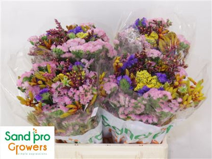 FeedSync:wholesale:07d7056c29b66ceaffaa03e8d9d29f7194931c49