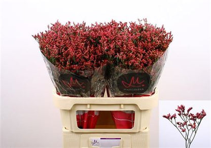FeedSync:wholesale:060bad9a4f79f386d1a60e64b353848692c79a98