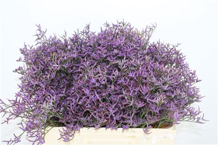 FeedSync:wholesale:0ce53543e11015b76d8aad0390efd9d36006c750