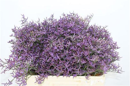 FeedSync:wholesale:0ce53543e11015b76d8aad0390efd9d36006c750