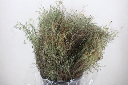FeedSync:wholesale:73bf76ed7d49cf21c74cf8db14401a7a93348678