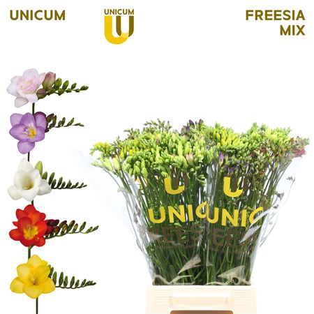 FeedSync:wholesale:99be275d1ffea5e6e81696a364ffda4dc17110f9
