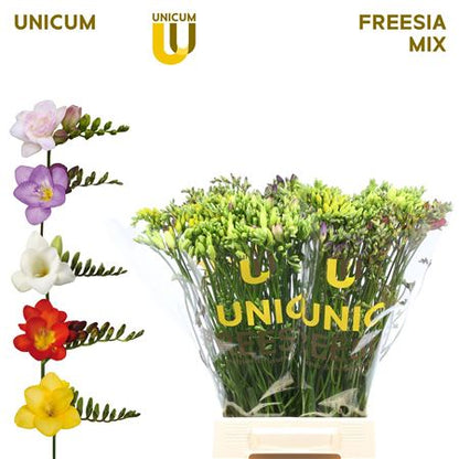 FeedSync:wholesale:99be275d1ffea5e6e81696a364ffda4dc17110f9