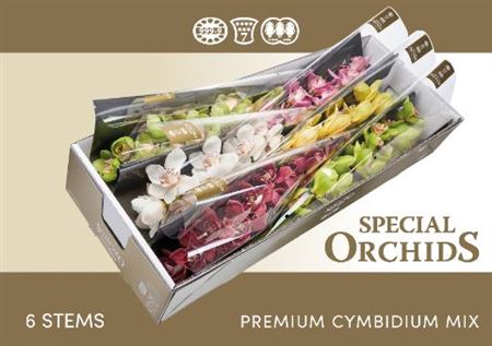 FeedSync:wholesale:d977bcd4bc8e7233e09f2a1dd9715aad2da16477