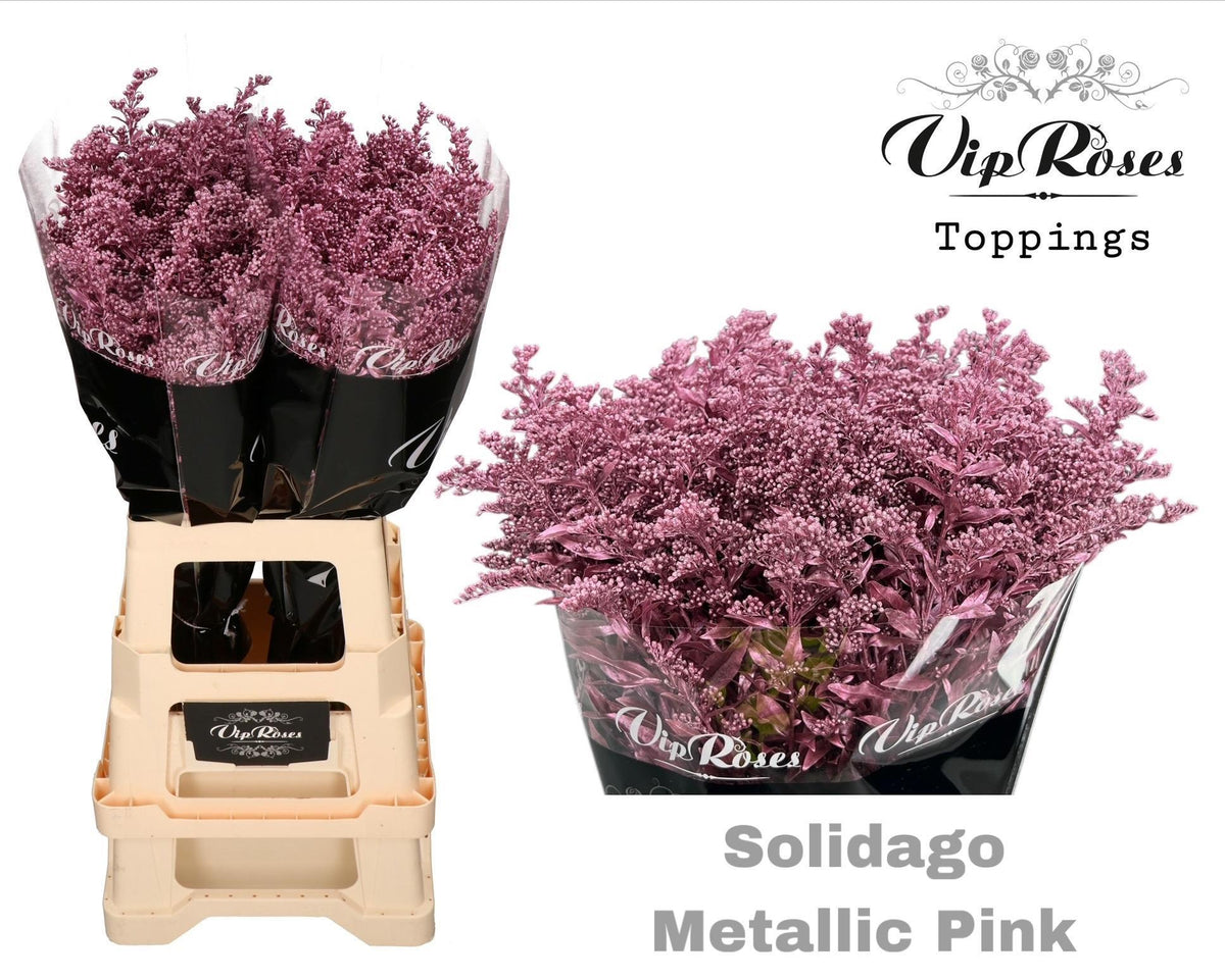 FeedSync:wholesale:c0a98a7fdbbc2ac3d7ca9becb68ef6c880d0fe24