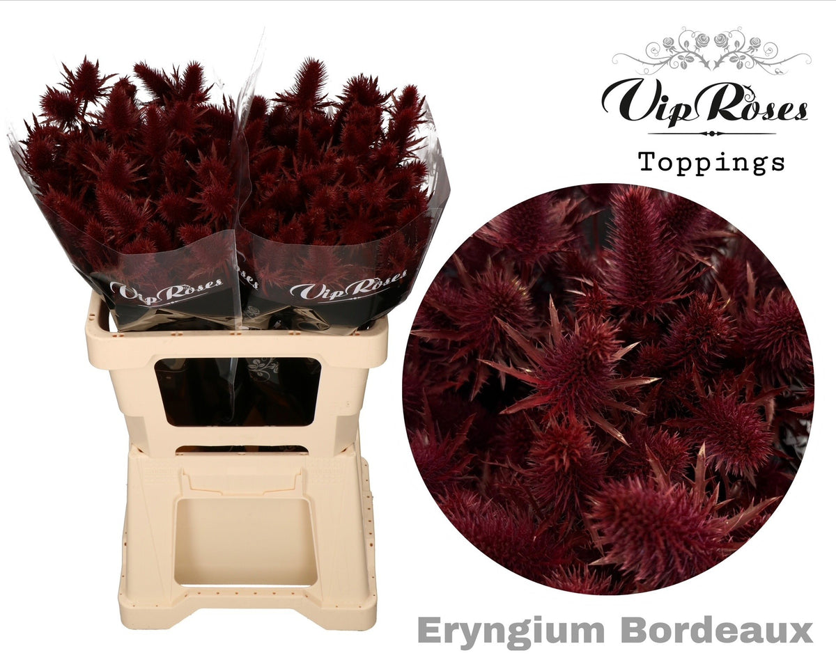 FeedSync:wholesale:84e9fd4013e724bba0c7f8663180bae4e197f290