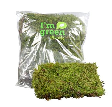FeedSync:wholesale:f782f82fdf9943d2dc971645a8a6c7cffffaf8fb