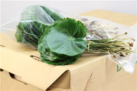 FeedSync:wholesale:8a9d29d13d66af44cc1a0f0eebb44e2ebac1b5aa