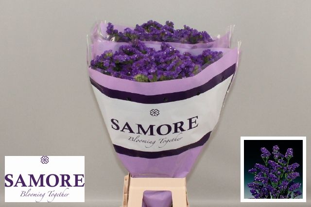 FeedSync:wholesale:0e9d4d25c1696478e263124f2da004e22ffa3838