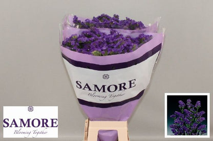 FeedSync:wholesale:0e9d4d25c1696478e263124f2da004e22ffa3838