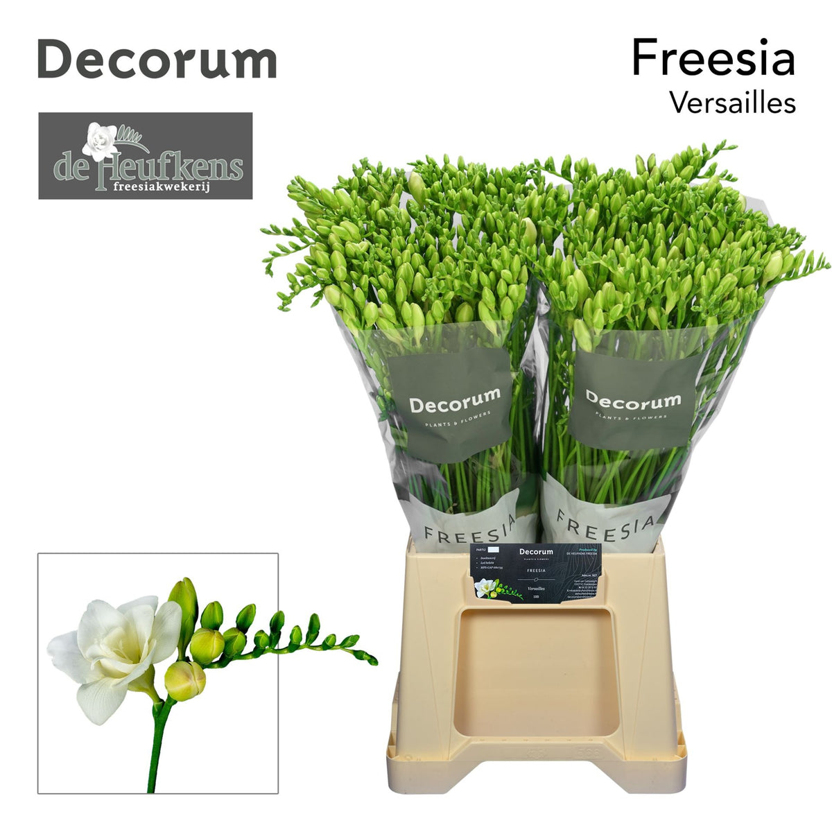 FeedSync:wholesale:6e2445b2431f6fd0180aaee3e01fe5a8b46e73eb